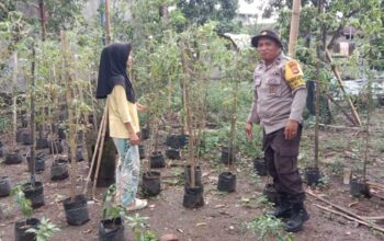 Langkah Konkret Polsek Labuapi Dorong Optimalisasi Lahan Produktif dan Pekarangan Warga