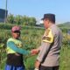 Dukung Ketahanan Pangan, Polsek Labuapi Turun Tangan Dampingi Petani di Desa Karang Bongkot