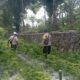 Bhabinkamtibmas Desa Kesik Cek Lahan Ketahanan Pangan Bergizi, Dorong Produktivitas Warga