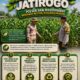 Polsek Jatirogo Turun ke Ladang Jagung Desa Dingil, Wujudkan Dukungan Astacita Swasembada Pangan
