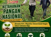 Polsek Soko Polresta Tuban Turun Langsung Cek Tanaman Jagung Warga