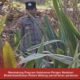 Mendukung Program Ketahanan Pangan, Polsek Widang Patroli Kawasan Lahan Pertanian Jagung
