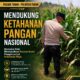 Polsek Tuban Dukung Ketahanan Pangan Nasional Melalui Monitoring Tanaman Jagung