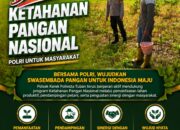 Polisi Polsek jenu Polres Tuban Turun ke Ladang, Dampingi Petani Jagung Dukung Ketahanan Pangan