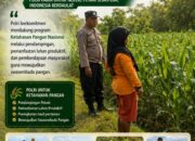 DALAM RANGKA MENDUKUNG PROGRAM ASTACITA, ANGGOTA POLSEK PARENGAN SAMBANGI PETANI JAGUNG DI DESA KUMPULREJO GUNA DUKUNG KETAHANAN PANGAN