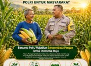 Polsek Plumpang Polresta Tuban Turun Langsung Cek Tanaman Jagung Warga