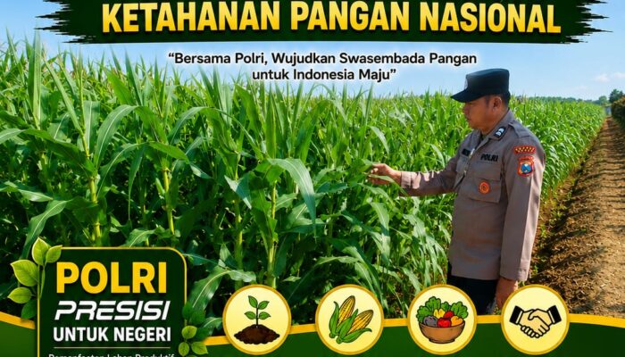 Polisi Polsek jenu Polres Tuban Turun ke Ladang, Dampingi Petani Jagung Dukung Ketahanan Pangan