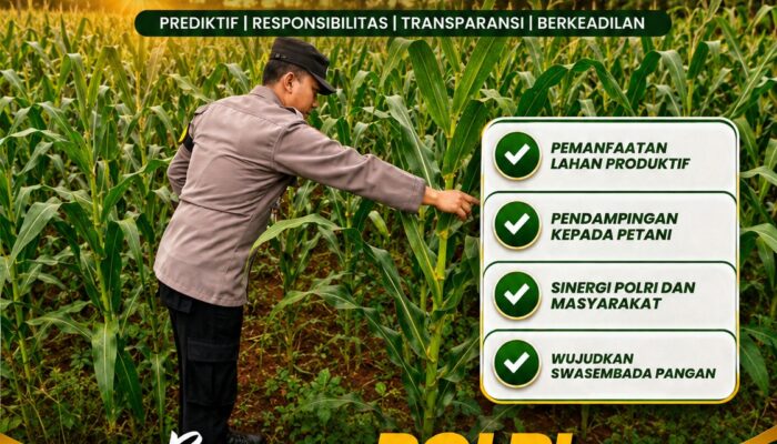Bhabinkamtibmas Polsek Tuban Lakukan Pendampingan Tanaman Jagung Dukung Ketahanan Pangan Nasional