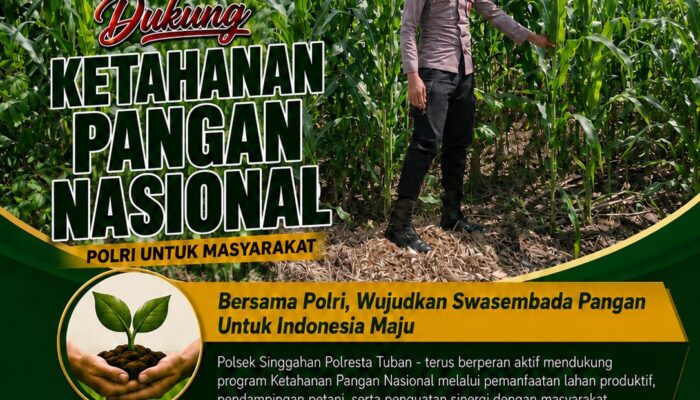 Polsek Singgahan Polresta Tuban Turun Cek Tanaman jagung Warga di Desa Mulyorejo