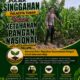 Polsek Singgahan Polresta Tuban Turun Cek Tanaman jagung Warga di Desa Mulyorejo