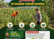 DUKUNG ASTA CITA, ANGGOTA POLSEK KEREK PANTAU AKTIVITAS PETANI JAGUNG DI DESA BINAAN