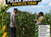 MONITORING KETAHANAN PANGAN POLSEK BANGILAN