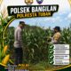 MONITORING KETAHANAN PANGAN POLSEK BANGILAN