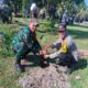 Tanam Pohon Serentak, Gerung Perkuat Ketahanan Lingkungan
