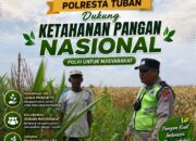 Polri Dukung Astacita, Polsek Rengel Polres Tuban Turun Cek Tanaman Jagung Warga di Desa Pekuwon