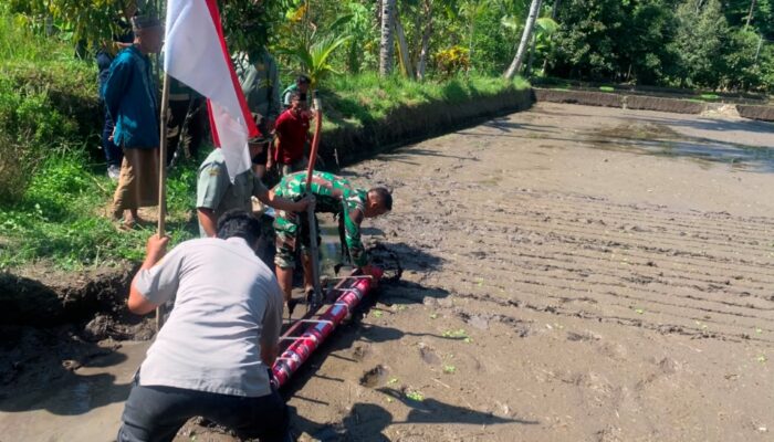 Tabela Hadir di Suranadi, Langkah Baru Pertanian Petani