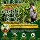 Polri dukung progam Astacita, Polsek Jatirogo Polresta Tuban Turun Cek Tanaman jagung Warga di Desa Demit