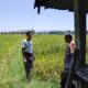 Dukung Ketahanan Pangan Nasional, Bhabinkamtibmas Desa Pungkit Sambangi Petani dan Cek Langsung Lahan Sawah Warga