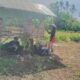 Bhabinkamtibmas Desa Mumbu Sambangi Warga, Ajak Petani Maksimalkan Lahan dan Jaga Kamtibmas