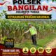 MONITORING KETAHANAN PANGAN TANAMAN JAGUNG