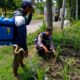 Dukung Astacita Presiden RI, Bhabinkamtibmas Polsek Jenu Polresta Tuban Cek Perkembangan Tanaman Jagung Warga