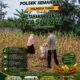 Polri Dukung Astacita, Polsek Semanding Polresta Tuban Turun Cek Tanaman jagung milik Warga di Desa Jadi