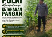 Polri Dukung Astacita, Polsek Merakurak Polres Tuban Turun Cek Tanaman Jagung Warga di Desa Tuwiri Wetan