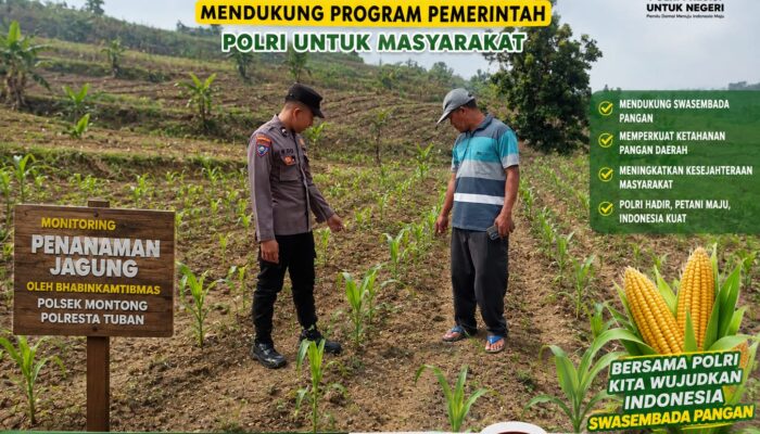 Polsek Montong Polresta Tuban Turun Cek Tanaman jagung Warga di Desa Bringin