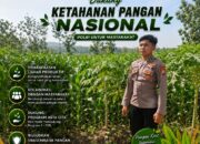 Polsek Singgahan Polresta Tuban Turun Cek Tanaman jagung Warga di Desa Mulyorejo