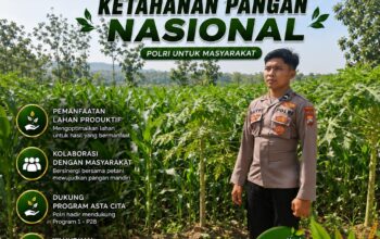 Polsek Singgahan Polresta Tuban Turun Cek Tanaman jagung Warga di Desa Mulyorejo