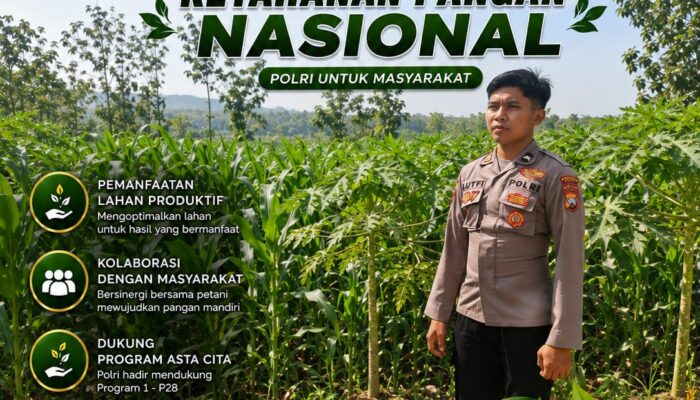 Polsek Singgahan Polresta Tuban Turun Cek Tanaman jagung Warga di Desa Mulyorejo