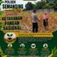 Polri Dukung Astacita, Polsek Semanding Polresta Tuban Turun Cek Tanaman jagung milik Warga di Desa Jadi
