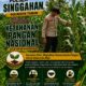 Polsek Singgahan Polresta Tuban Turun Cek Tanaman jagung Warga di Desa Tingkis