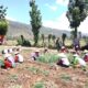 Bhabinkamtibmas Madaprama Dampingi Petani Panen Bawang Merah dan Berikan Imbauan Kamtibmas