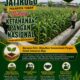 Polsek Jatirogo Turun ke Lahan produktif Desa Kebonharjo Wujudkan Dukungan Astacita Swasembada Pangan