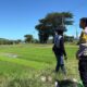 Dukung Penuh Ketahanan Pangan, Bhabinkamtibmas Desa Sabedo Sambangi Petani Padi di Persawahan
