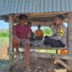 Bhabinkamtibmas Dorokobo Sambangi Petani Bawang, Dorong Pengelolaan Hasil Panen untuk Musim Tanam Berikutnya