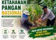 Polsek Soko Polresta Tuban Turun Langsung Cek Tanaman Jagung Warga