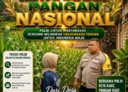 Polsek Plumpang Polresta Tuban Turun Langsung Cek Tanaman Jagung Warga