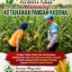 Polsek Soko Polresta Tuban Turun Langsung Cek Tanaman Jagung Warga