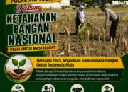 Dukung Asta Cita, Polsek Jatirogo Turun Langsung Pantau Ladang Jagung Warga Desa Dingil