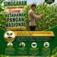 Polsek Singgahan Polresta Tuban Turun Cek Tanaman jagung Warga di Desa Tingkis