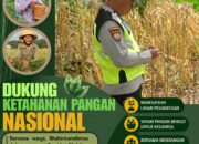 Polri Dukung Astacita, Polsek Rengel Polresta Tuban Turun Cek Tanaman Jagung Warga di Desa Sawahan