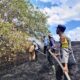 Sigap Padamkan Karhutla di Kilometer 84 Lunyuk, Polsek Bersama Damkar dan Warga Selamatkan Lahan Tanam Warga