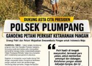 Polsek Plumpang Polresta Tuban Turun Langsung Cek Tanaman Jagung Warga