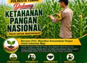 Polsek Singgahan Polresta Tuban Turun Cek Tanaman jagung Warga di Desa Tingkis