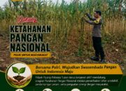 Polri Dukung Astacita, Polsek Grabagan Polresta Tuban Turun Cek Tanaman jagung milik Warga di Desa Grabagan