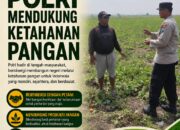 Polri Dukung Astacita, Polsek Merakurak Polres Tuban Turun Cek Tanaman Jagung Warga di Desa Tuwiri Wetan