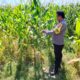 Dukung Ketahanan Pangan, Bhabinkamtibmas Desa Labuhan Burung Sambangi Petani dan Ajak Manfaatkan Lahan Produktif