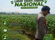 Polsek Singgahan Polresta Tuban Turun Cek Tanaman jagung Warga di Desa Lajo Lor